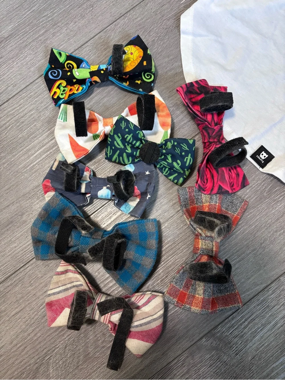 Dog Accessories